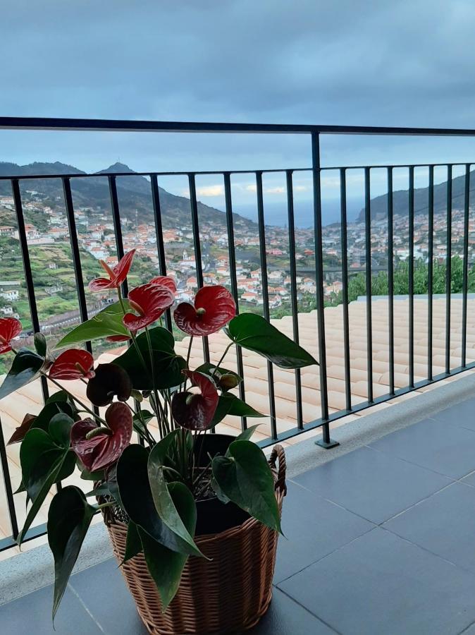 Casa Miguel Villa มาชิโก ภายนอก รูปภาพ