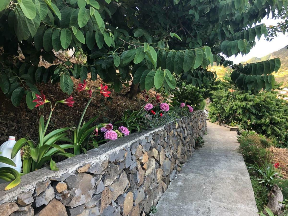 Casa Miguel Villa มาชิโก ภายนอก รูปภาพ