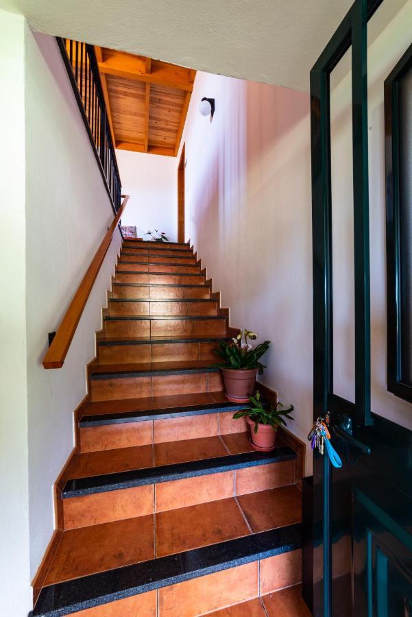 Casa Miguel Villa มาชิโก ภายนอก รูปภาพ